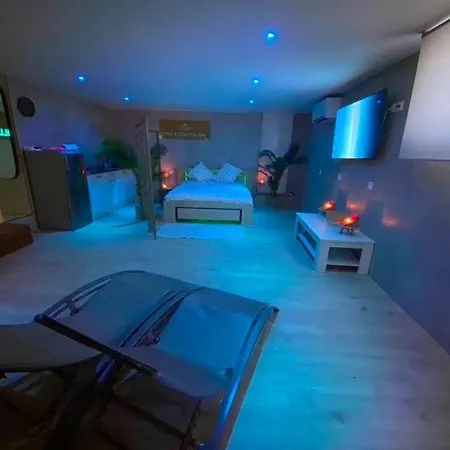 Grande Cosy Avec Piscine, Sauna & Jacuzzi * Juvignac